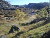 post-1073-0-88362700-1348329562_thumb.jp