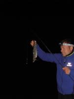 post-7627-0-54784600-1346609653_thumb.jp