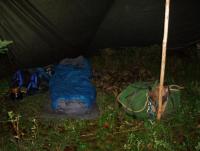 post-8832-0-74987200-1348319760_thumb.jp