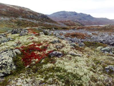 post-1047-0-56104100-1379797854_thumb.jp