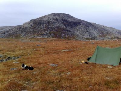 post-1047-0-58449600-1379797814_thumb.jp