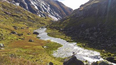 post-12082-0-12427200-1379878449_thumb.j