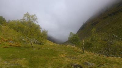 post-12082-0-24577400-1379878264_thumb.j