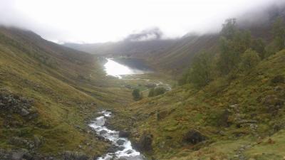 post-12082-0-70790400-1379878285_thumb.j