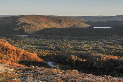 post-13037-0-04573800-1378767915_thumb.j