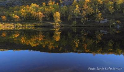 post-13037-0-12971000-1378767871_thumb.j