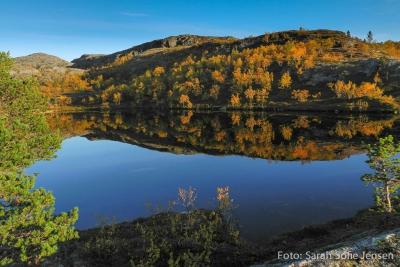 post-13037-0-32845600-1378767884_thumb.j