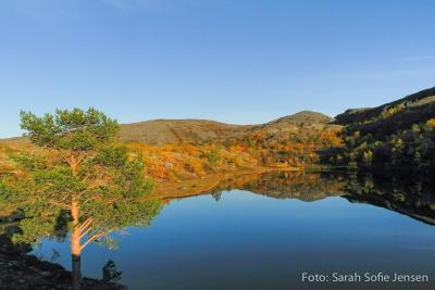 post-13037-0-37815900-1378767861_thumb.j