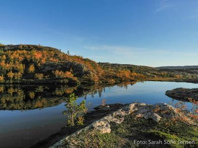 post-13037-0-52578400-1378767848_thumb.j