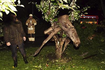 post-4220-0-67019000-1380533067_thumb.jp