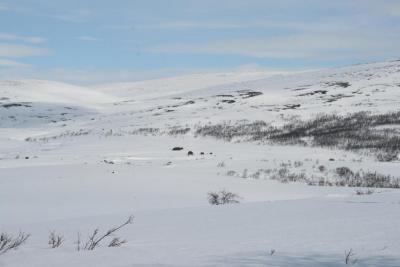 post-6611-0-64346100-1380144250_thumb.jp