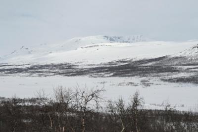 post-6611-0-95506500-1380144457_thumb.jp