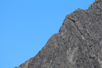 post-7957-0-32569400-1378753613_thumb.jp