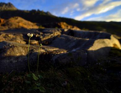 post-7957-0-38298800-1378753620_thumb.jp