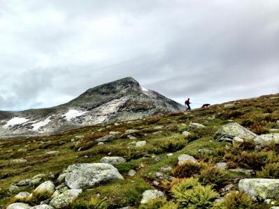 post-7957-0-54307900-1378753338_thumb.jp