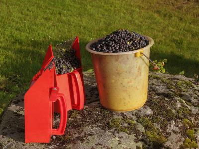 post-7957-0-65659800-1378753382_thumb.jp