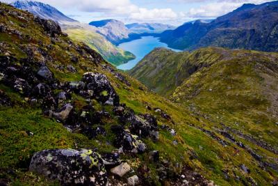 post-7957-0-96512900-1378753411_thumb.jp