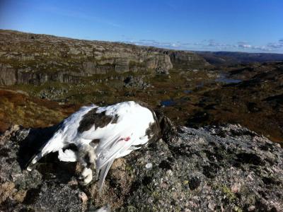 post-8909-0-25393300-1380135856_thumb.jp