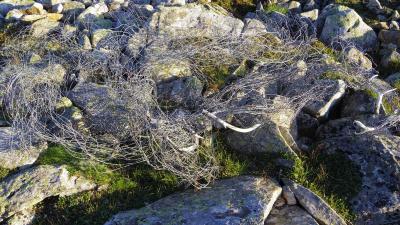 post-10401-0-57319800-1410297156_thumb.j