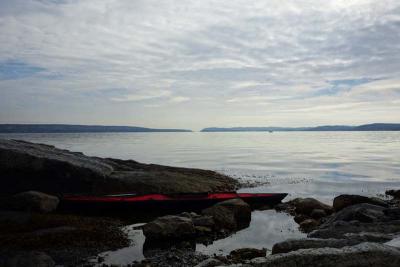 post-10468-0-29841700-1412112014_thumb.j