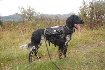 post-12801-0-40370900-1410875021_thumb.j