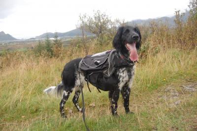 post-12801-0-63593800-1410874958_thumb.j