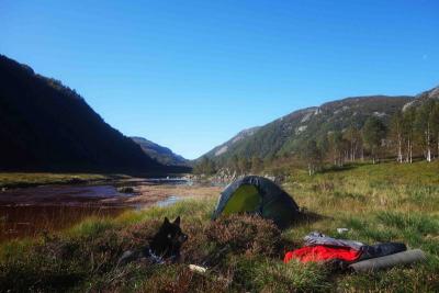 post-13043-0-79558100-1410715440_thumb.j