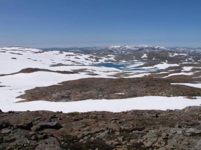 post-13206-0-21757600-1411460604_thumb.j