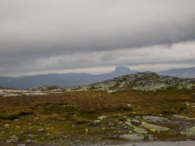 post-13206-0-66525800-1410292363_thumb.j