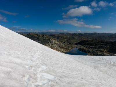 post-13206-0-85937800-1410291300_thumb.j