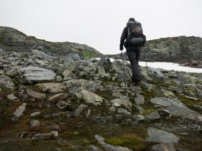 post-13206-0-86434000-1410292362_thumb.j