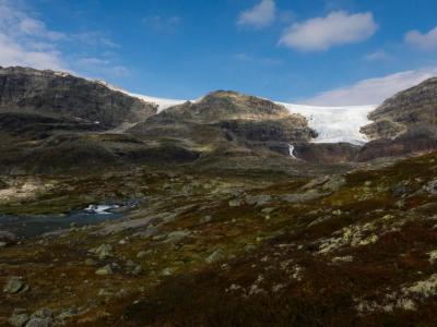 post-13206-0-91053500-1410291302_thumb.j