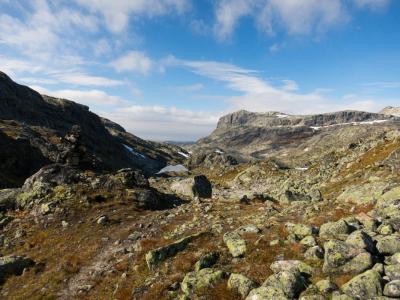 post-13206-0-93800300-1410291301_thumb.j