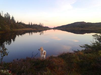 post-13572-0-05152200-1410896784_thumb.j