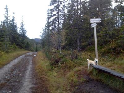 post-13572-0-77731500-1411325856_thumb.j