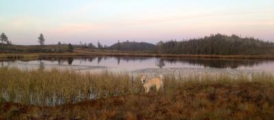 post-13572-0-82223200-1410896784_thumb.j