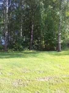 post-13618-0-34800700-1409910543_thumb.j