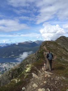 post-14436-0-09117800-1410421515_thumb.j