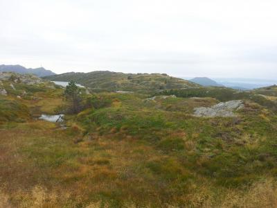 post-14585-0-35939800-1409930243_thumb.j