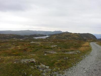 post-14585-0-85171800-1409930274_thumb.j