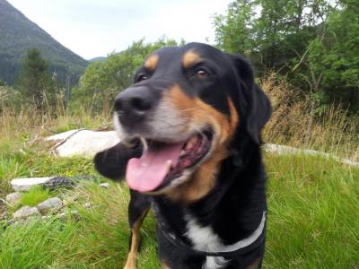 post-14585-0-92278800-1409930175_thumb.j