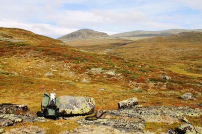 post-4016-0-60495800-1410447085_thumb.jp