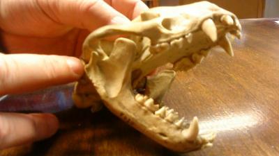 post-4220-0-41771100-1410080129_thumb.jp