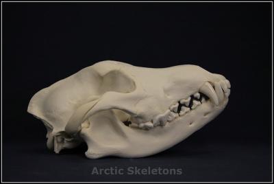 post-4220-0-51819600-1410080102_thumb.jp