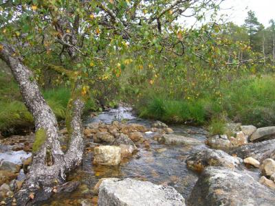 post-4220-0-64166100-1409767727_thumb.jp