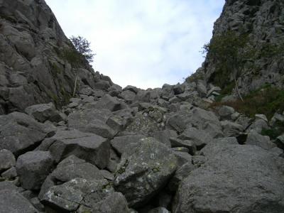 post-4220-0-79751100-1409769847_thumb.jp