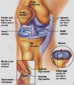 post-4220-0-81497000-1410758972_thumb.jp