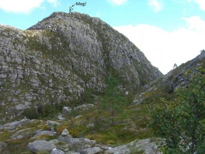 post-4220-0-81726600-1409768532_thumb.jp