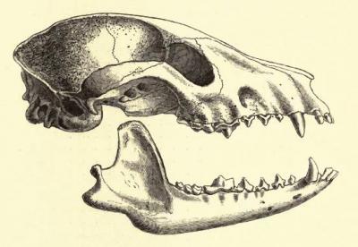 post-4220-0-89074600-1410080068_thumb.jp