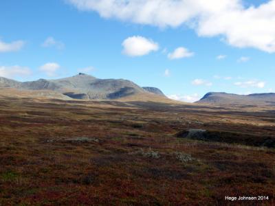 post-4444-0-29777500-1410633062_thumb.jp